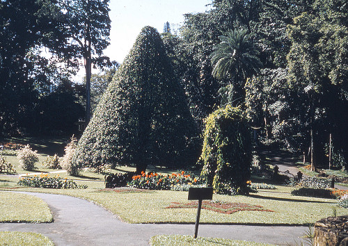 I0006.jpg