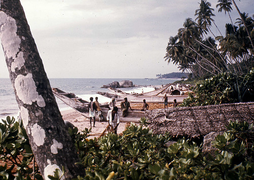 K0130.jpg