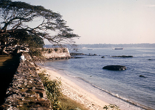 K0133.jpg