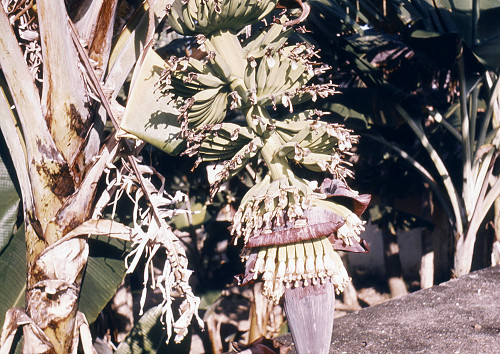 K0140.jpg