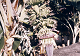 K0140_thumb.png