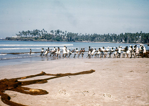 K0144.jpg