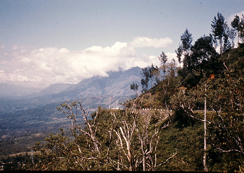 L0006.jpg