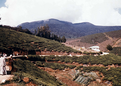L0010.jpg