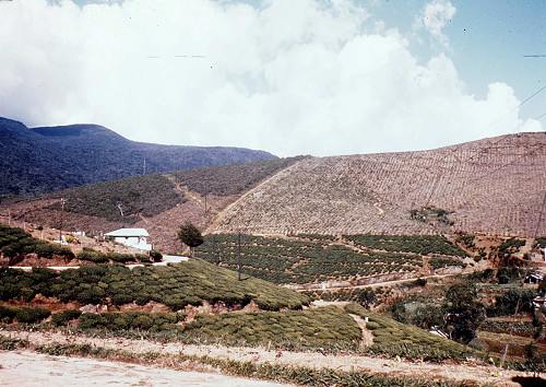 L0011.jpg