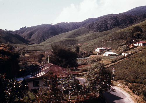 L0013.jpg