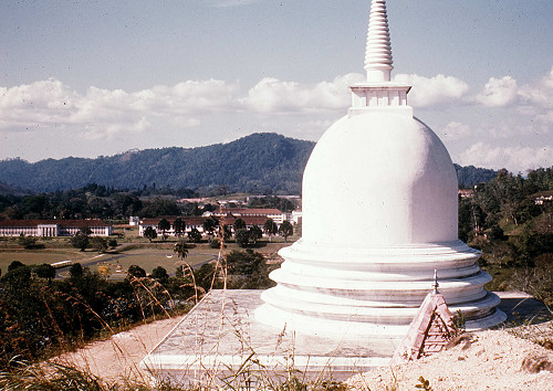 L0019.jpg