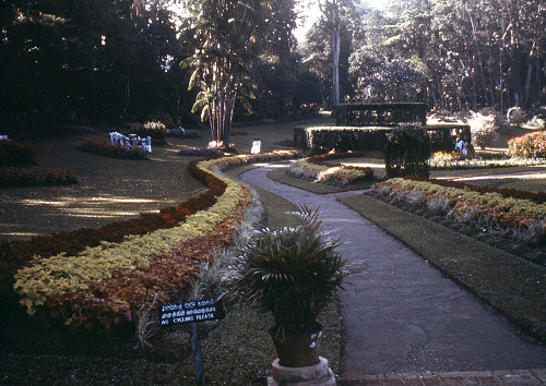 L0021.jpg