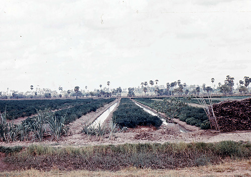 A0009.jpg
