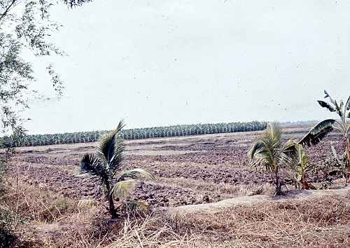 A0010.jpg