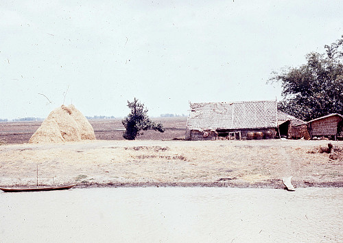 A0019.jpg