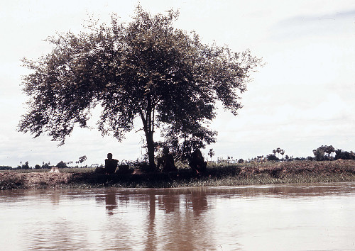 C0003.jpg