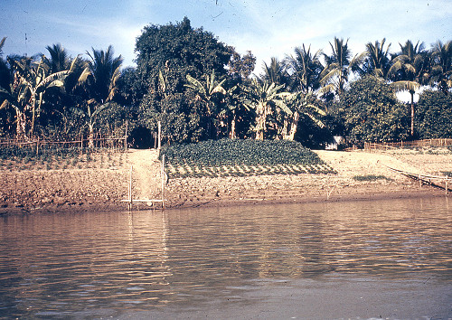 C0006.jpg