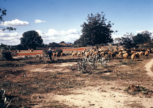 C0008.jpg