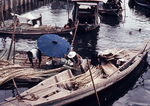 C0019.jpg