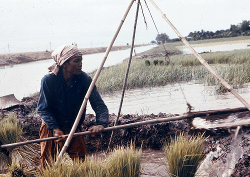C0027.jpg