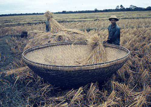 C0037.jpg
