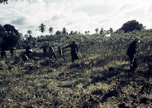 C0040.jpg