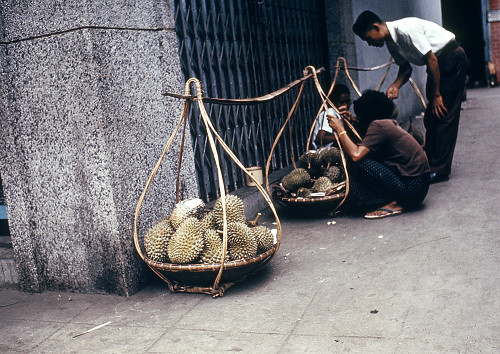 C0043.jpg