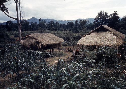 C0055.jpg