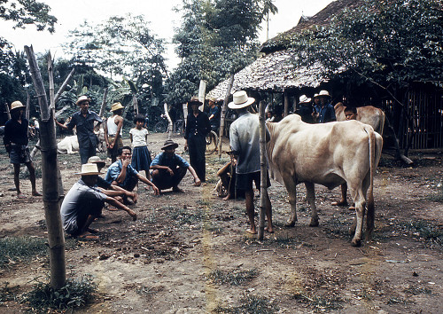C0058.jpg
