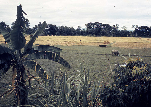 C0059.jpg