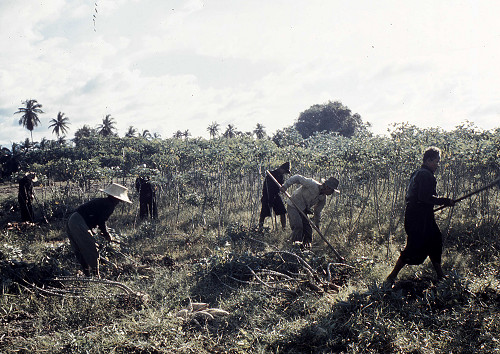 C0060.jpg