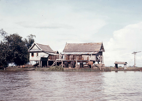 C0063.jpg