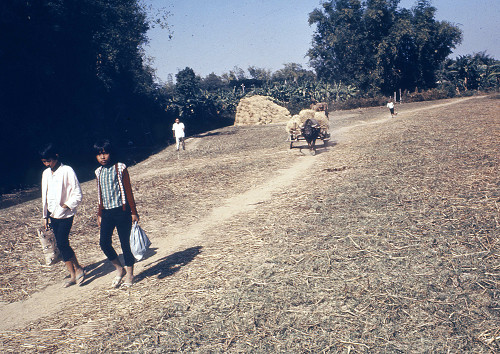 C0077.jpg