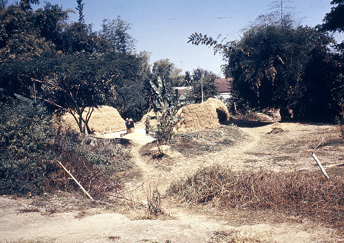 C0080.jpg