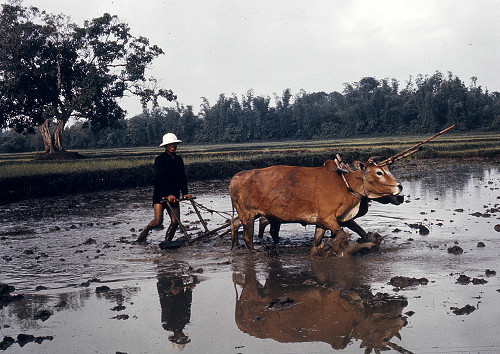 C0092.jpg