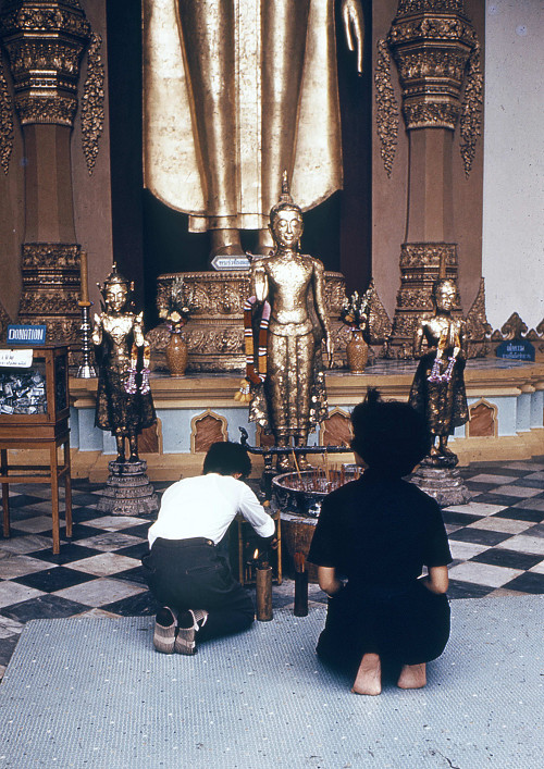 C0095.jpg