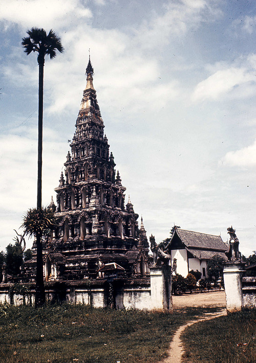 C0100.jpg