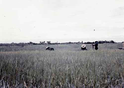 C0102.jpg