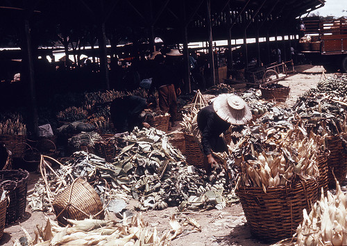 C0117.jpg