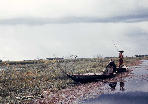 C0134.jpg