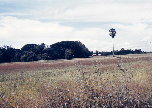 C0143.jpg
