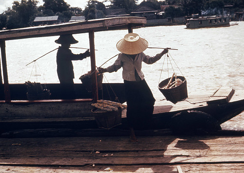 C0146.jpg
