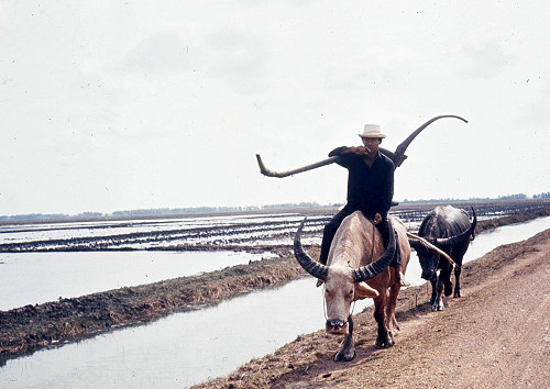 E0127.jpg