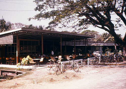 L0081.jpg