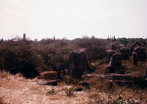 L0093.jpg