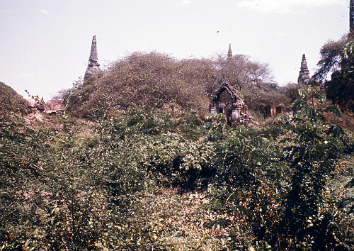 L0096.jpg
