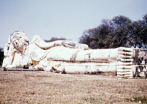 L0139.jpg