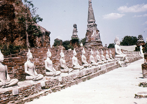 L0143.jpg