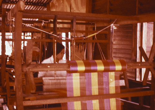 M0010.jpg