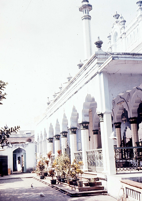 D0041.jpg